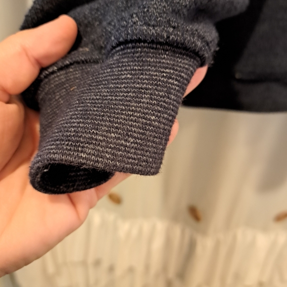 Vintage Big Dogs Blue Zip Up Hooded Fleece Jacket Men's Size Large - Picture 4 of 8